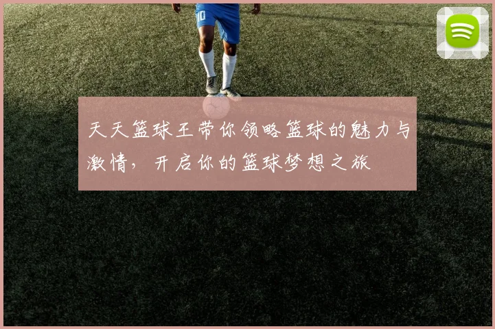 天天篮球王带你领略篮球的魅力与激情，开启你的篮球梦想之旅