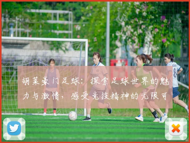 胡莱豪门足球：探索足球世界的魅力与激情，感受竞技精神的无限可能