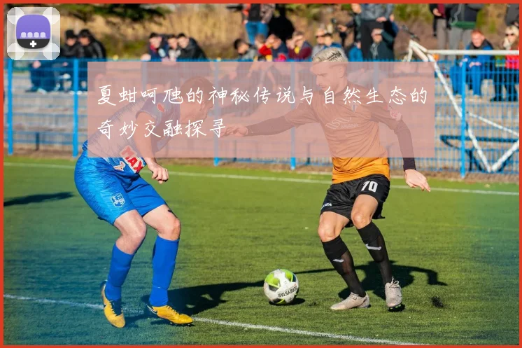 夏蚶呵虺的神秘传说与自然生态的奇妙交融探寻