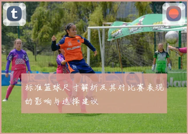 标准篮球尺寸解析及其对比赛表现的影响与选择建议